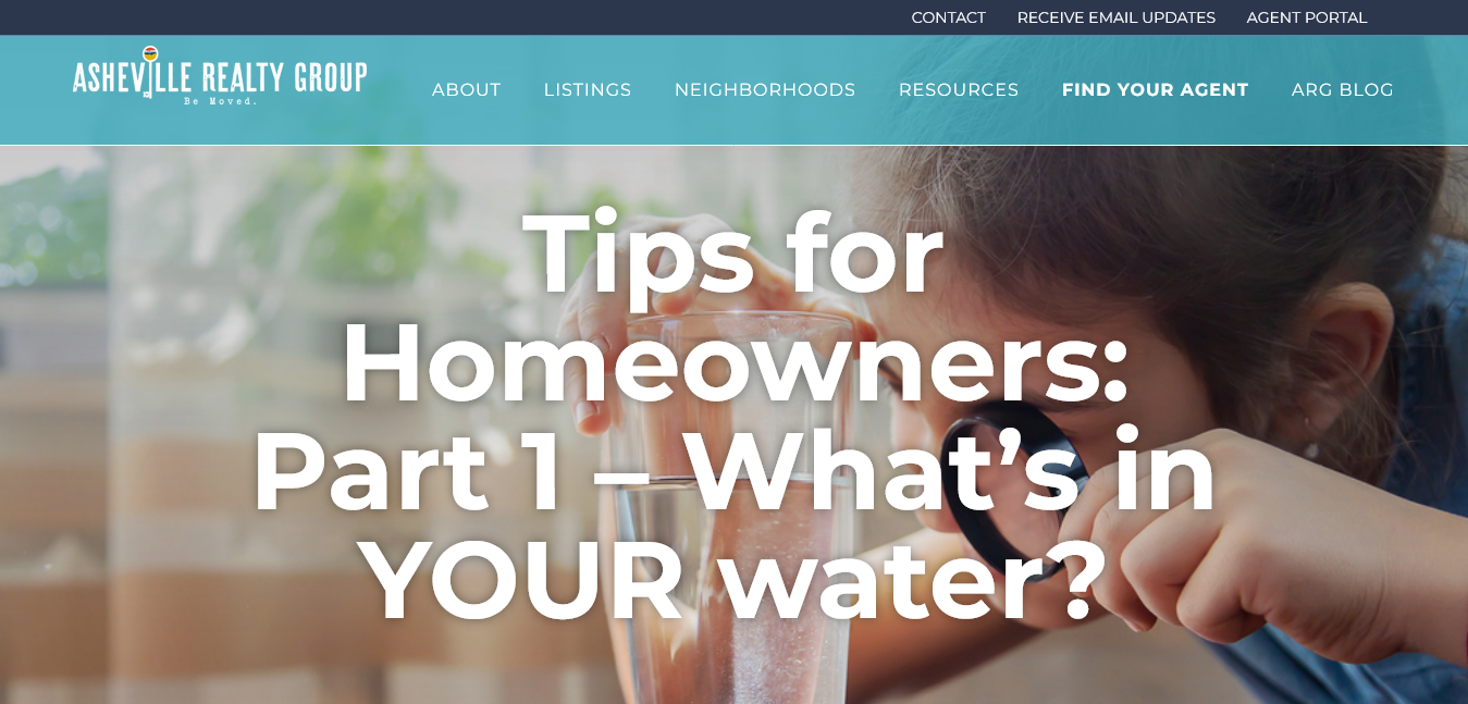 Asheville Real Estate blog article example